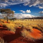 Offroad Tours 4×4 Adventure